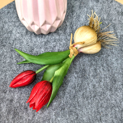 Tulpenbund mit roten Blüten und Zwiebeln