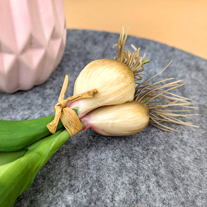 Nahaufnahme der weißen Zwiebel