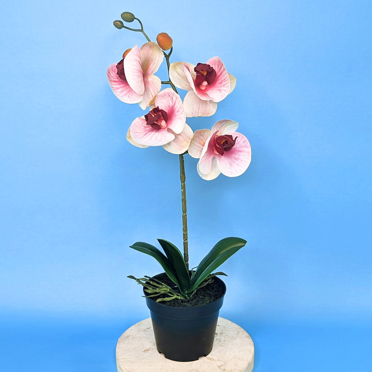 Rosa Orchidee als Kunstblume mit Blättern im schwarzen Topf – frontal fotografiert