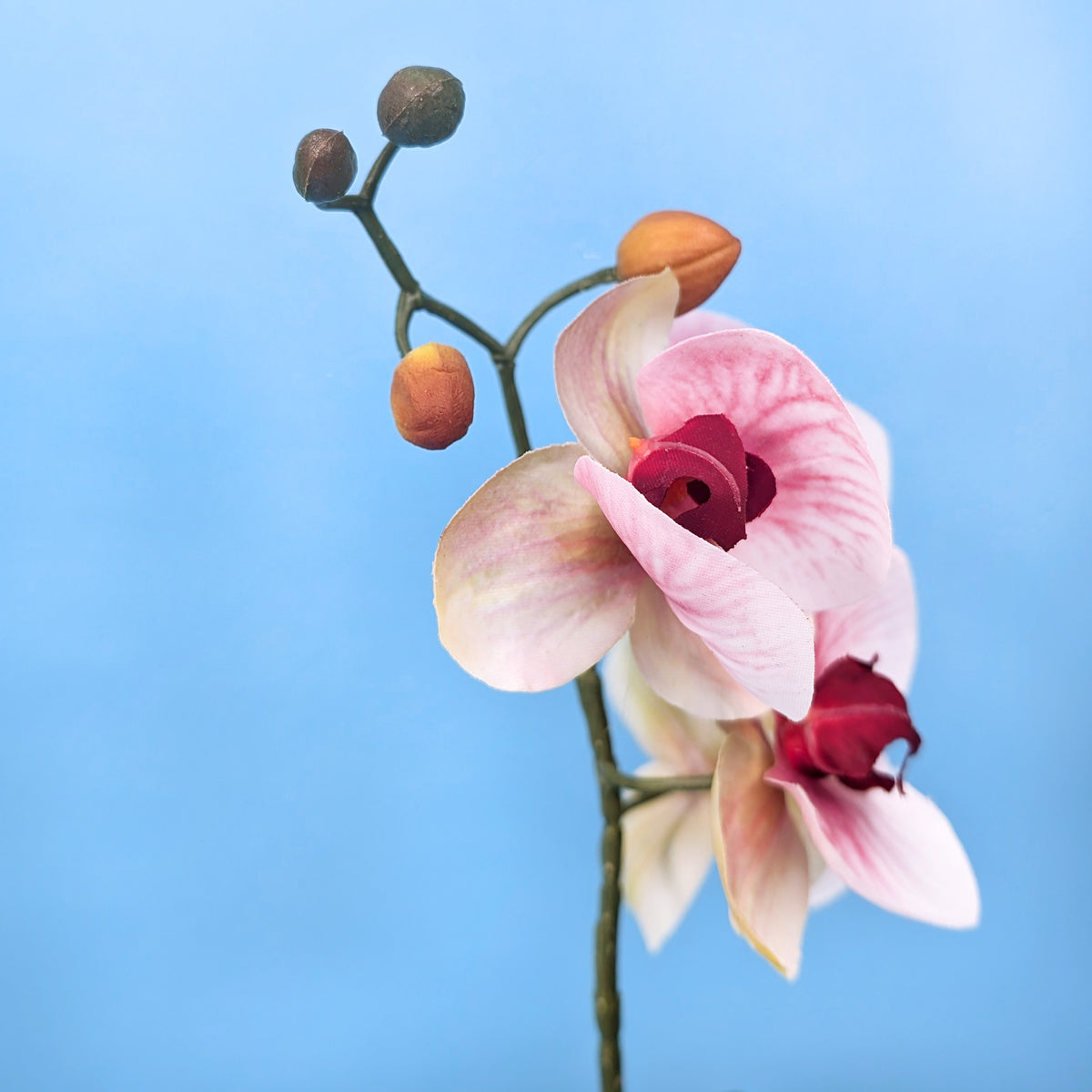 Nahaufnahme der künstlichen Blüten der Orchidee