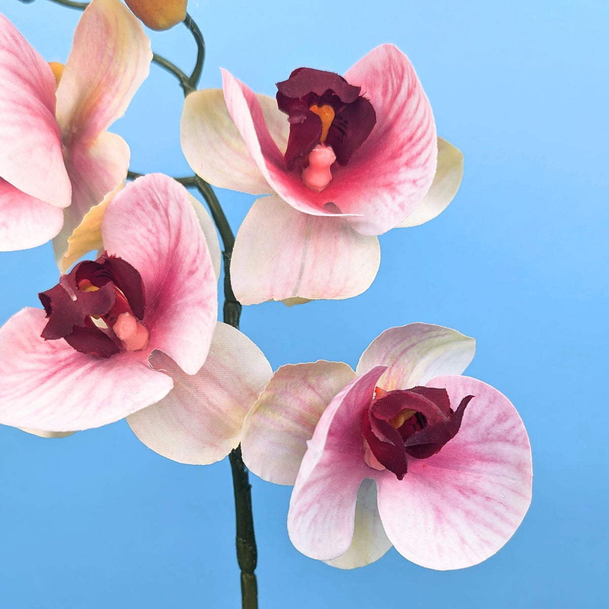 Nahaufnahme der Seidenblüten in zartem Rosa mit naturgetreuer Struktur