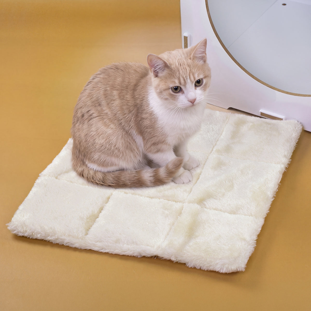 Katze sitzt auf ALULA Liegekissen 30 × 30 cm mit flauschiger Oberfläche neben KALLAX Regal