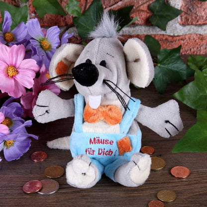Kleine Plüschmaus als Geldgeschenk