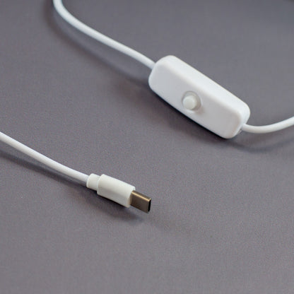 Nahaufnahme Kabel mit Schalter und Anschluss